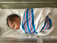 OLIVER LOSI WOLFE
